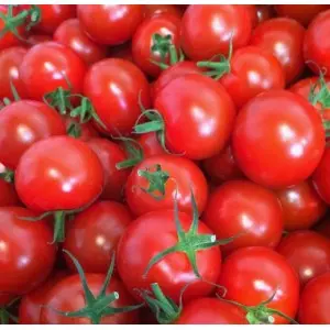 Seminte tomate Cheramy F1
