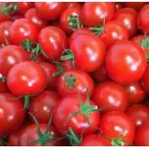 Seminte tomate Cheramy F1