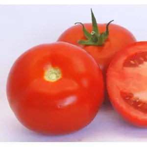 Seminte tomate Vasanta F1