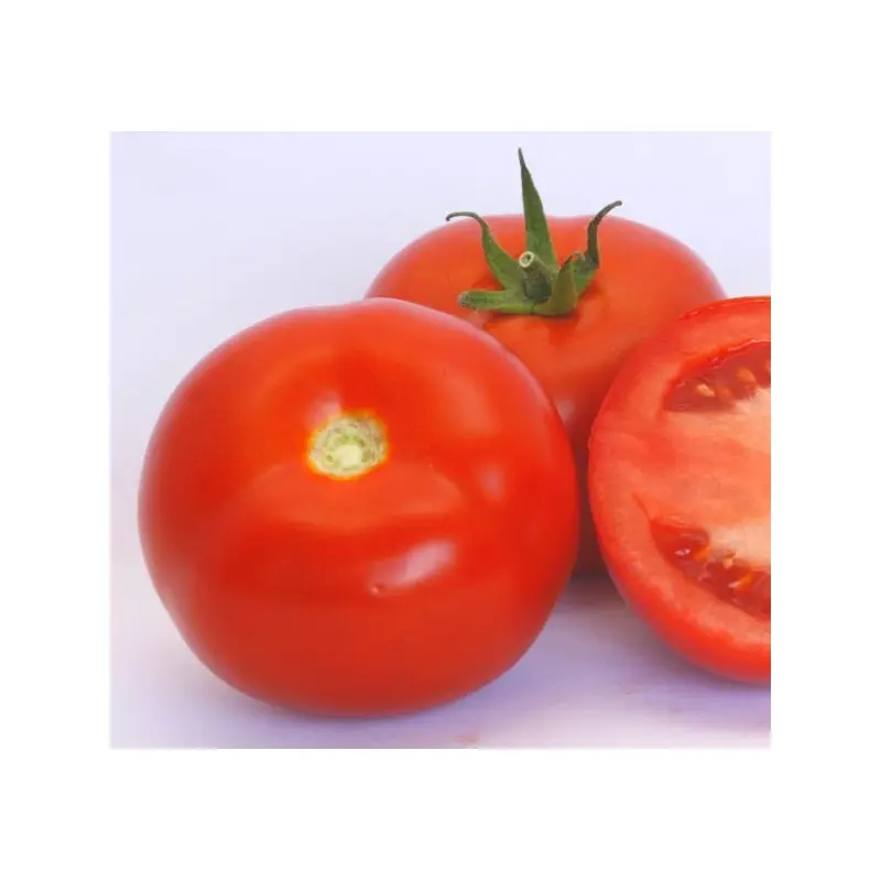 Seminte tomate Vasanta F1