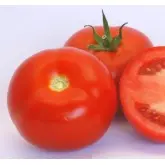 Seminte tomate Vasanta F1