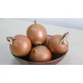 Seminte ceapa Pandero F1