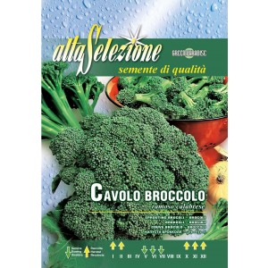 Seminte broccoli Ramoso Calabrese Alta Selezione