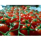 Seminte tomate Creativo F1