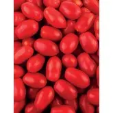 Seminte tomate cherry Mojitos F1