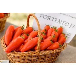 Seminte tomate Portento F1