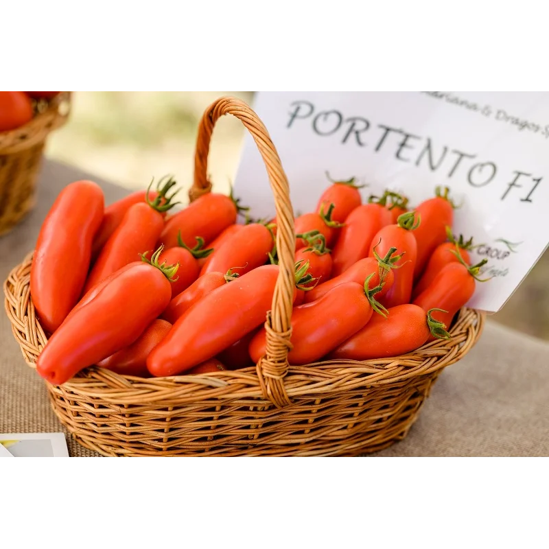 Seminte tomate Portento F1