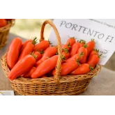 Seminte tomate Portento F1