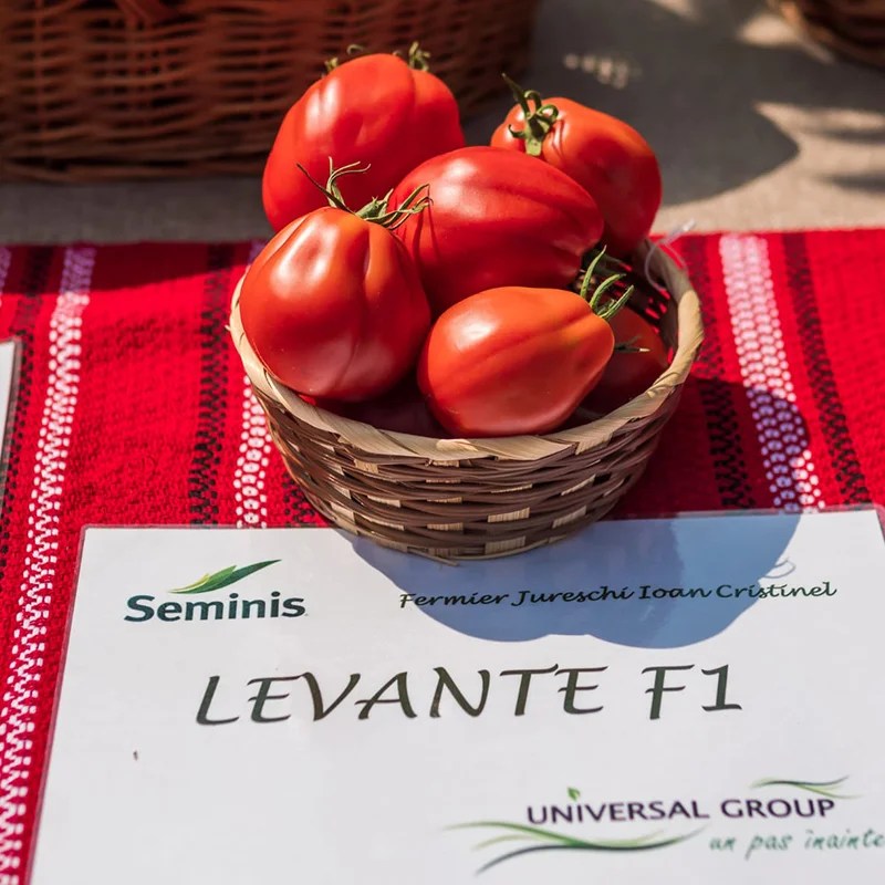 Seminte tomate Levante F1