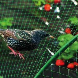 Plasa contra pasarilor Horti-Bird, verde