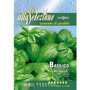 Seminte busuioc Italiano Classico Alta Selezione