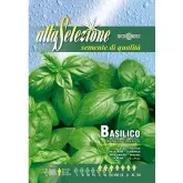 Seminte busuioc Italiano Classico Alta Selezione