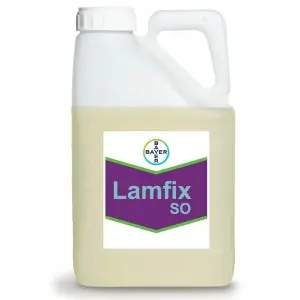 Adjuvant Lamfix SO