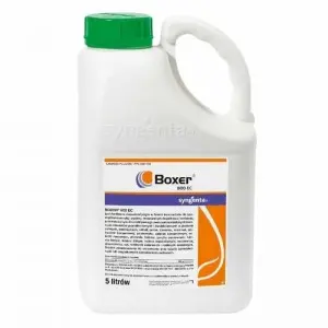 Erbicid Boxer 800 EC
