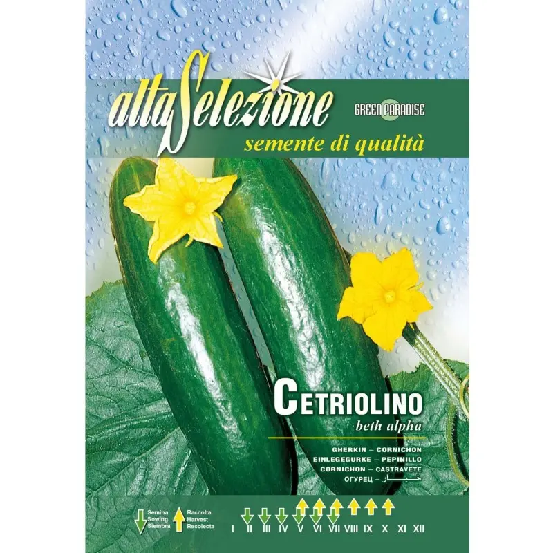 Seminte castraveti Beth Alpha Alta Selezione