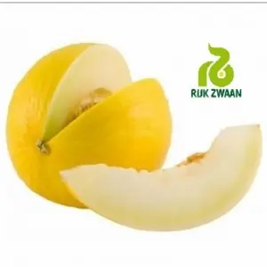 Seminte pepene galben Ducral F1
