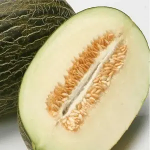 Seminte pepene galben Ricura F1