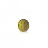 Seminte pepene galben Temar F1