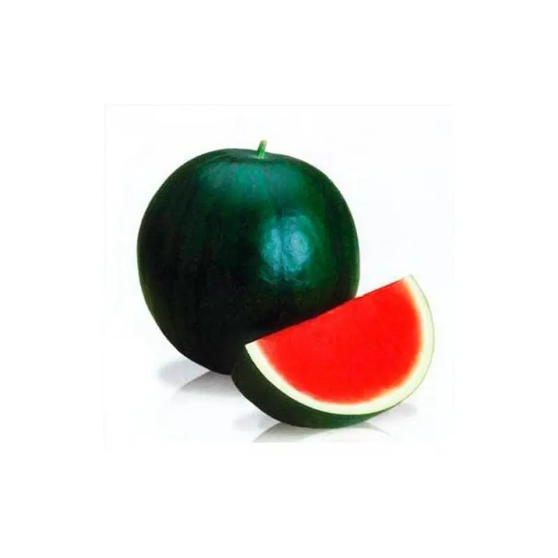 Seminte pepene verde Titania F1