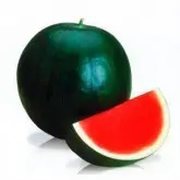 Seminte pepene verde Titania F1