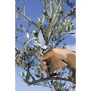 Foarfeca profesionala pentru taiere bypass 19 cm