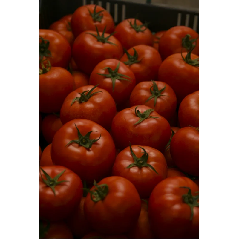 Seminte tomate Abellus F1