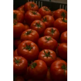 Seminte tomate Abellus F1