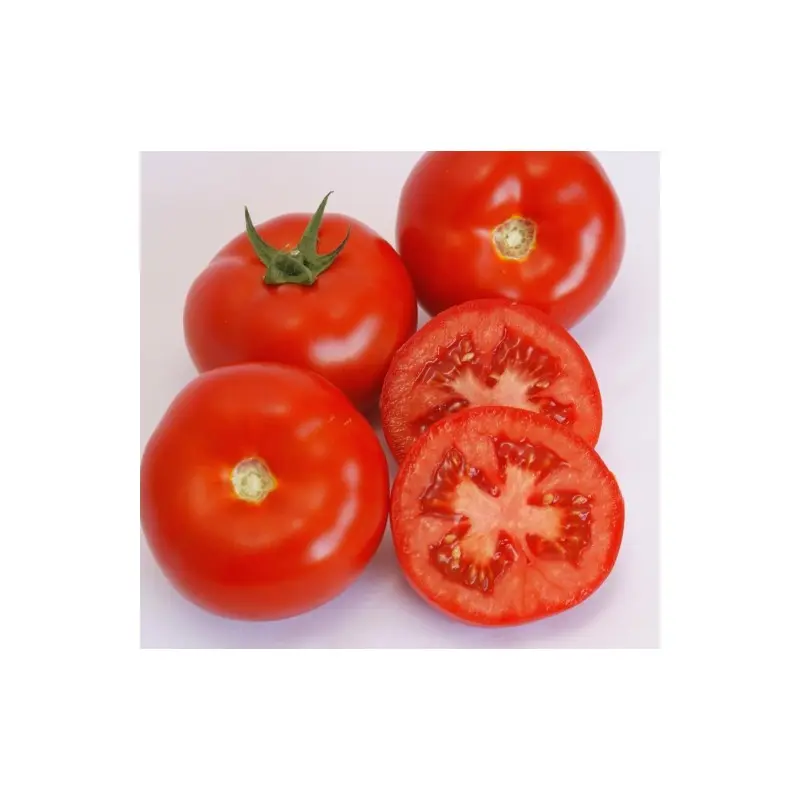 Seminte tomate Doufu F1 (73 - 521)