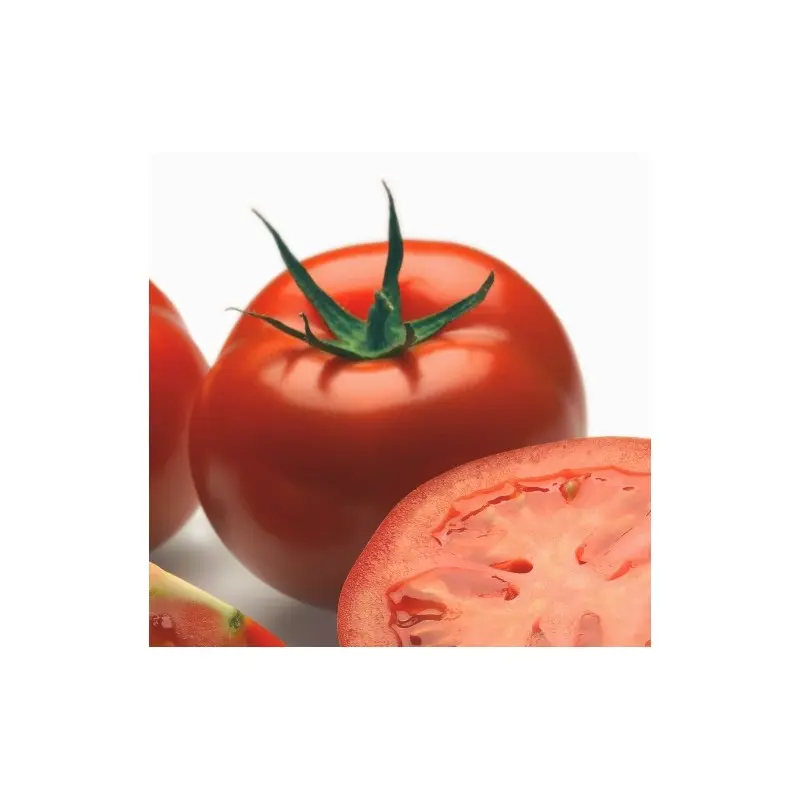 Seminte tomate Logure F1