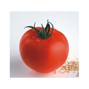 Seminte tomate Petula F1