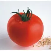 Seminte tomate Petula F1