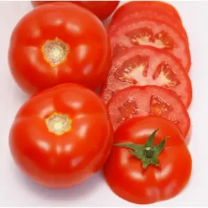 Seminte tomate Umagna F1