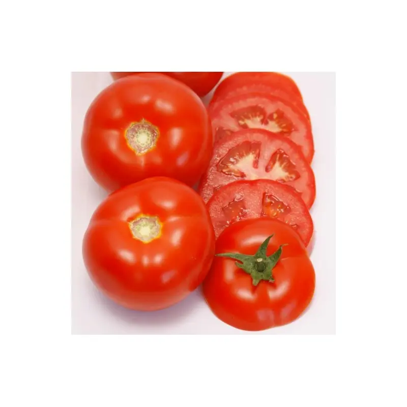 Seminte tomate Umagna F1