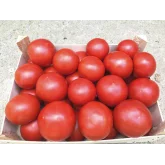 Seminte tomate Zulfia F1