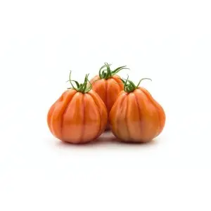 Seminte tomate Araldino F1