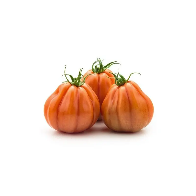 Seminte tomate Araldino F1