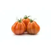 Seminte tomate Araldino F1