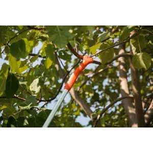 Foarfeca electrica cu maner telescopic Kantia E-22 TR