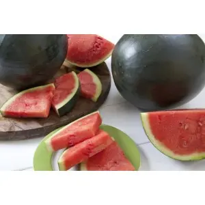 Seminte pepene verde Fechete F1
