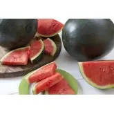 Seminte pepene verde Fechete F1