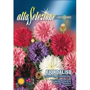 Seminte albastrele flori duble multicolor