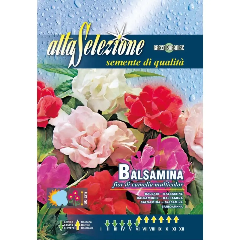 Seminte balsamina floare de camelie multicolor