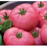 Seminte tomate Rozalina Rossa F1
