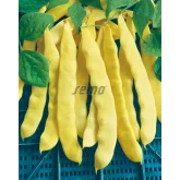 Seminte fasole urcatoare lata Anita