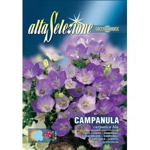 Seminte clopotel Albastru