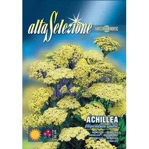 Seminte coada soricelului Filipendula galbena