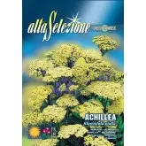 Seminte coada soricelului Filipendula galbena