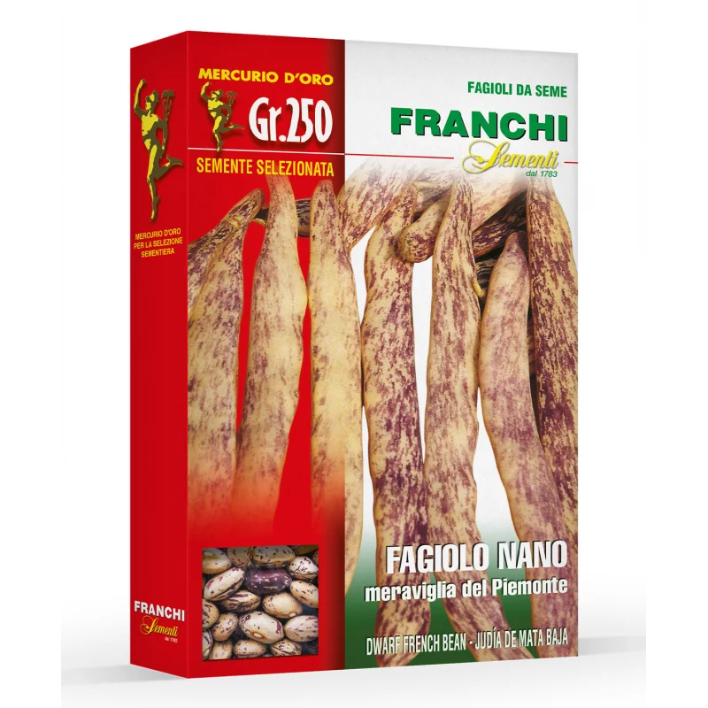 Seminte fasole oloaga lata Piemonte Mercurio D’oro