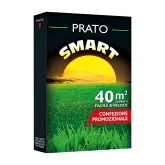 Seminte gazon Franchi Sementi Smart