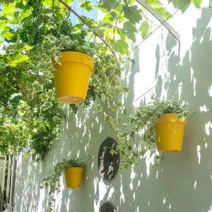 Ghiveci suspendat My Mood Air cu agatatoare